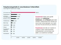 Versele Champion Plus IC+ Black Label, 20kg -Zoohandlung antioxidantien 113