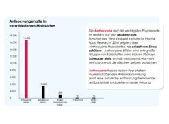 Versele Champion Plus IC+ Black Label, 20kg -Zoohandlung antioxidantien 213