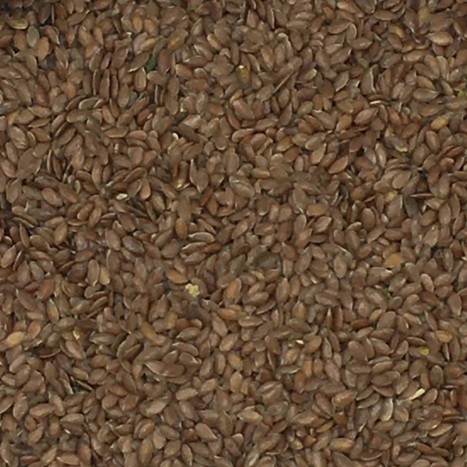 Leinsamen Braun - Vanrobaeys 20kg 3 Leinsamen Braun - Vanrobaeys 20kg