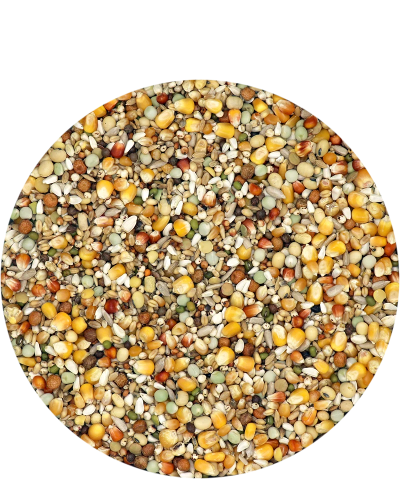 Versele Reise Active Life 25kg 3 Versele Reise Active Life 25kg