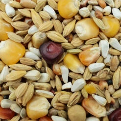 Spinne Top Relax 25kg