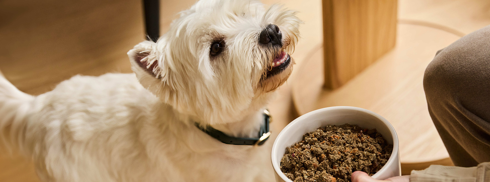 Zoohandlung -Zoohandlung 1